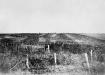 German wire at Quéant 04-10-1918 IWM CO 3392