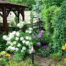 Fine garden near Fort IX Poznań - panoramio