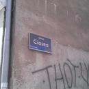 Chwaliszewo lipiec 2013 02
